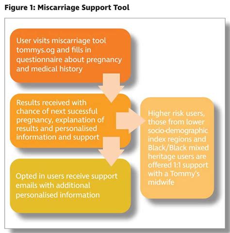 miscarriage odds reassurer|Miscarriage Support Tool .